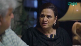 Apney Hee Tou Hain - Episode 24